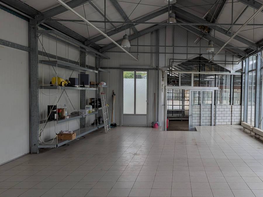 Betriebsauflösung in Frankfurt vom Fachmann. Es ist ein leeres Geschäft zu sehen.